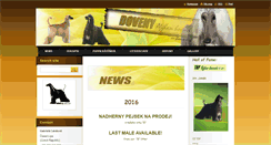 Desktop Screenshot of doveny.com